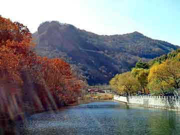 澳门天天彩期期精准平肖，国产耐磨板